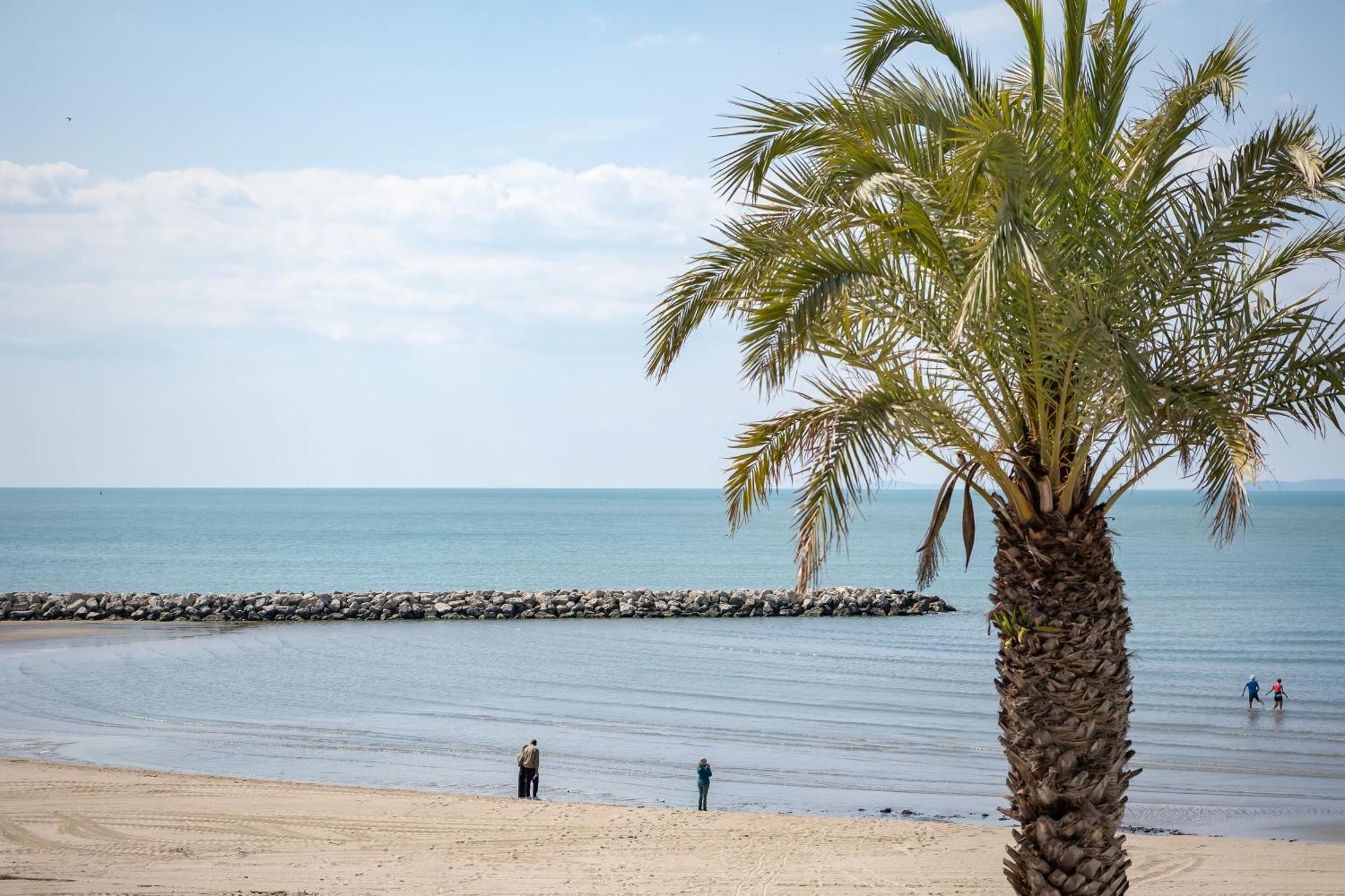 La Perle Du Grau : T1 Avec Exceptionnelle Vue Mer Le Grau-du-Roi Exterior foto